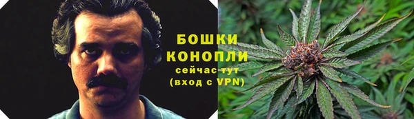 дурь Балахна