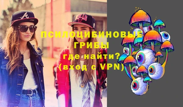 хмурый Балабаново