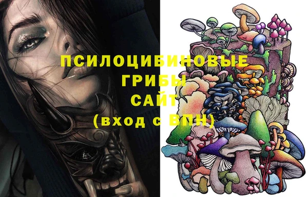 хмурый Балабаново