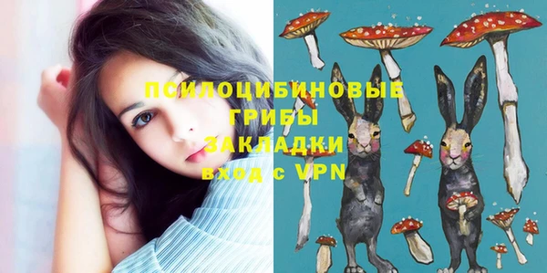 хмурый Балабаново