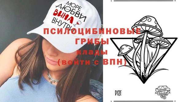 мяу мяу мука Баксан